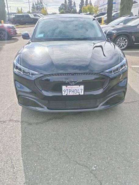 FORD MUSTANG MACH-E 2025 3FMTK1R49SMA08774 image FORD MUSTANG MACH-E 2025 3FMTK1R49SMA08774 image